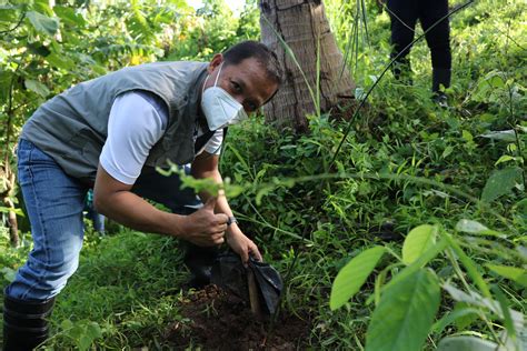 PENRO Cavite celebrates the Philippine Bamboo Month with 100 .